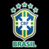 巴西女锦